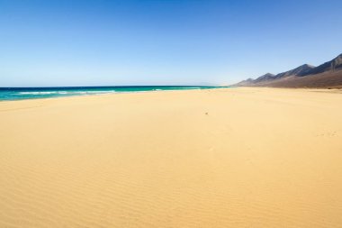 Sonsuz ufuk ile Amazing Cofete plaj. Arka planda volkanik tepeler ve Atlantik Okyanusu. Cofete beach, Fuerteventura, Kanarya Adaları, İspanya.