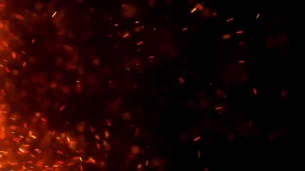 熱い赤い火花が夜空の大きな火から飛びます 光と生活のテーマに美しい抽象的な背景 黒い背景の上に粒子を飛び散らせて — ストック動画