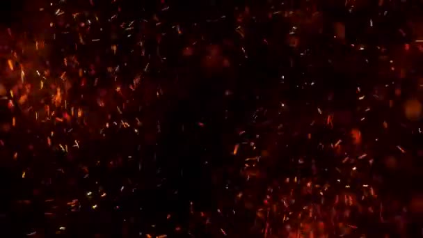 熱い赤い火花が夜空の大きな火から飛びます 光と生活のテーマに美しい抽象的な背景 黒い背景の上に粒子を飛び散らせて — ストック動画