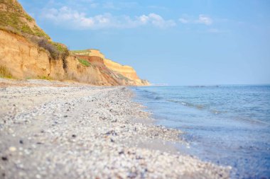 Sarı kum kayalıkları ve Karadeniz kıyısında bir sahil. Sahilde farklı şekillerde deniz kabuğu yığınları. Ukrayna.