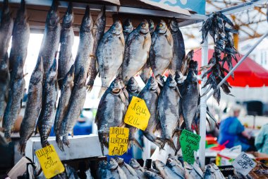 Balık pazarında kurutulmuş ve füme balık. Pryvoz (Privoz) Pazarı, Odessa, Ukrayna.