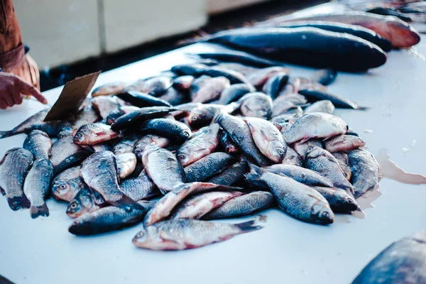 Φρέσκα Ψάρια Στην Ψαραγορά Pryvoz Privoz Αγορά Οδησσός Ουκρανία — Φωτογραφία Αρχείου