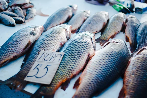 Verse Vis Vismarkt Pryvoz Privoz Market Odessa Oekraïne — Stockfoto