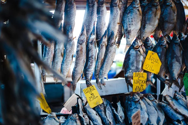 Balık pazarında kurutulmuş ve füme balık. Pryvoz (Privoz) Pazarı, Odessa, Ukrayna.