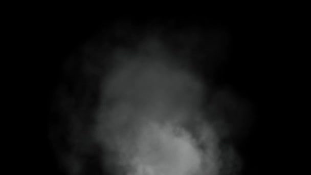 Close Van Stoom Rook Zwarte Achtergrond Witte Stoom Stijgt Smoke — Stockvideo