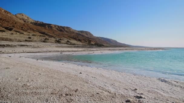 Amazing Dead Sea Beach View Dead Sea Coastline Salt Crystals — Stock Video