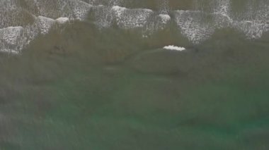 Okyanus dalgaları. Havadan görünüm dalgaları beyaz kumlu plajda kırılır. Güzel plajda deniz dalgaları havadan görünümü drone 4k atış.