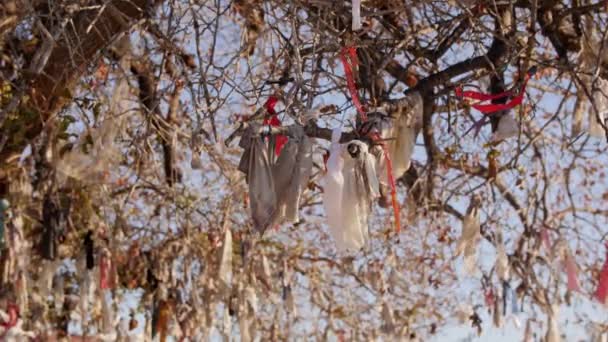 Rubans Colorés Attachés Sur Arbre Souhaits Chypre Tournage Arbre Vœux — Video