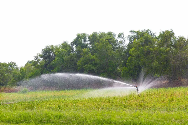 Sistemi Irrigazione Agricola Che Irrigano Azienda Fondo Bianco — Foto Stock