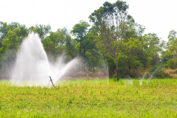Sistemi Irrigazione Agricola Che Irrigano Azienda Fondo Bianco — Foto Stock