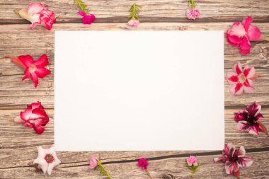 Pembe açelya çiçekleri ve tahta zemin üzerinde boş kağıt çarşaf, üst görünüm, metin için alan, düz uzanma.