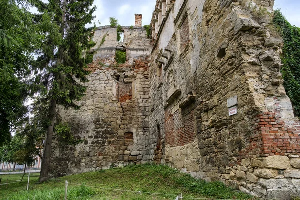 Castelo Sieniawski Berezhany Região Ternopil Ucrânia Agosto 2019 Inscrição Parede — Fotografia de Stock