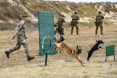Ukrayna 'nın başkenti Kyiv yakınlarında özel tatbikat sırasında köpekleriyle birlikte Ukrayna Ulusal Muhafızları.