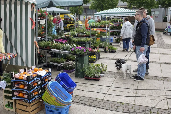 Plants and flowers stalls at a traditional fair in centre of Leipzig, Germany. May 2014 — Stock Photo, Image