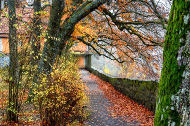 Eski Rothenburg ob der Tauber, Bavyera, Almanya 'da altın yapraklı bir sonbahar parkı. Kasım 2014. Yüksek kalite fotoğraf