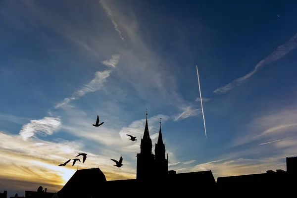 Silhueta Uma Catedral Gótica Contexto Céu Azul Matutino Foto Alta — Fotografia de Stock