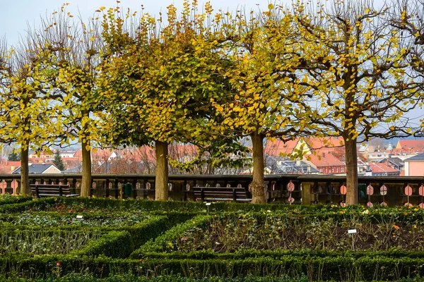 Vista Outono Rosengarten Barroco Rose Garden New Residence Bamberg Baviera — Fotografia de Stock