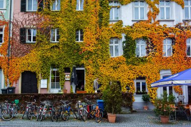 Bavyera, Franconia, Almanya 'da Bamberg, Bavyera' da kısmen turuncu kırmızı yapraklı sarmaşıklarla kaplı bir bina. Kasım 2014. Yüksek kalite fotoğraf