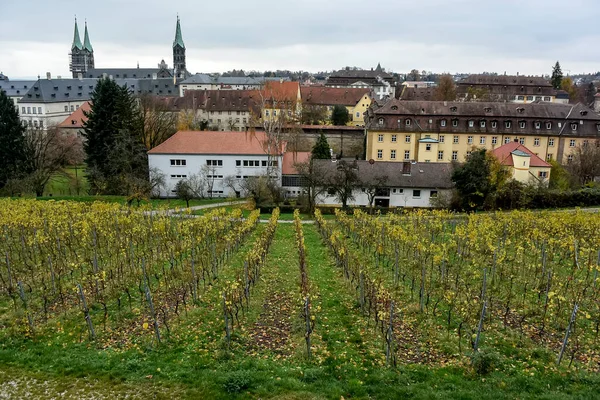 Vista Das Vinhas Michaelsberg Para Parte Antiga Bamberg Com Catedral — Fotografia de Stock