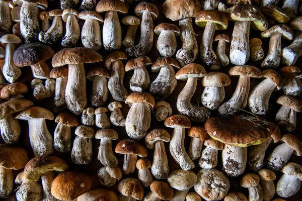 Sacco Funghi Boletus Edulis Sfondo Legno Vicino Tavolo Rustico Legno — Foto Stock