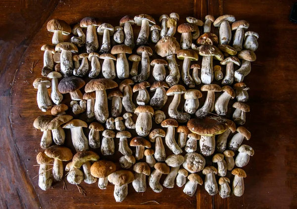 Veel Paddenstoelen Boletus Edulis Houten Ondergrond Close Hout Rustieke Tafel — Stockfoto