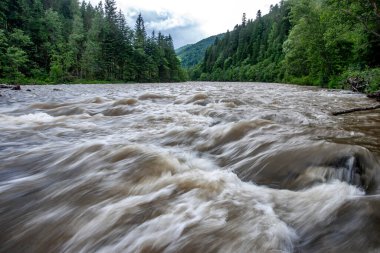 Ukrayna 'nın Karpat Dağları' ndaki Fırtınalı Dağ Nehri. Uzun pozlama. Yüksek kalite fotoğraf