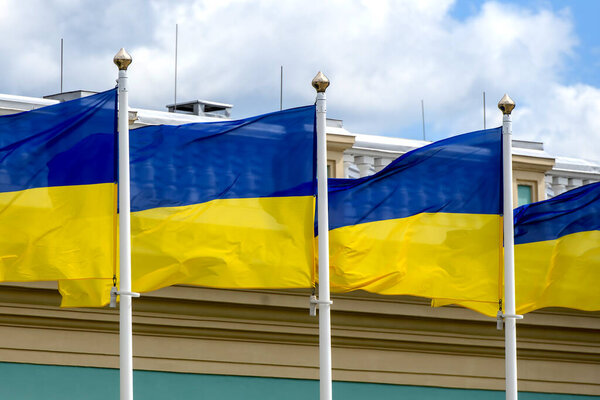 Ukrainian national flags wave on flagpoles near the Mariinsky Palace in Kyiv during Ukraine Independence Day celebrations on August 24, 2025. High quality photo