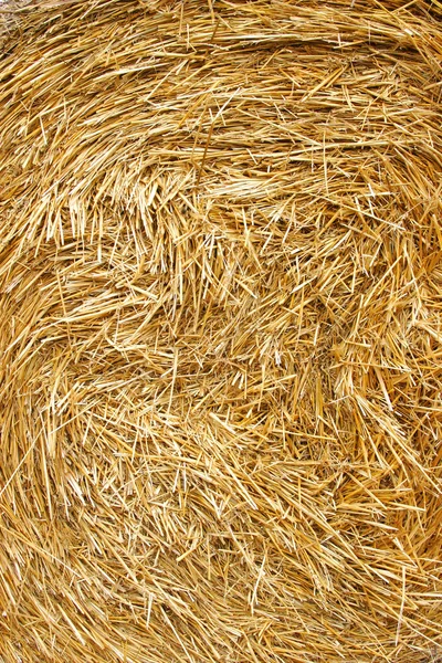 Roll Dry Hay Close Stok Gambar
