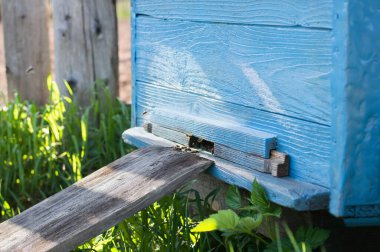 Arılı mavi ahşap arı kovanı