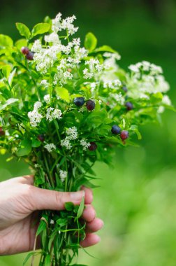 Bir buket orman çiçeği ve böğürtlen