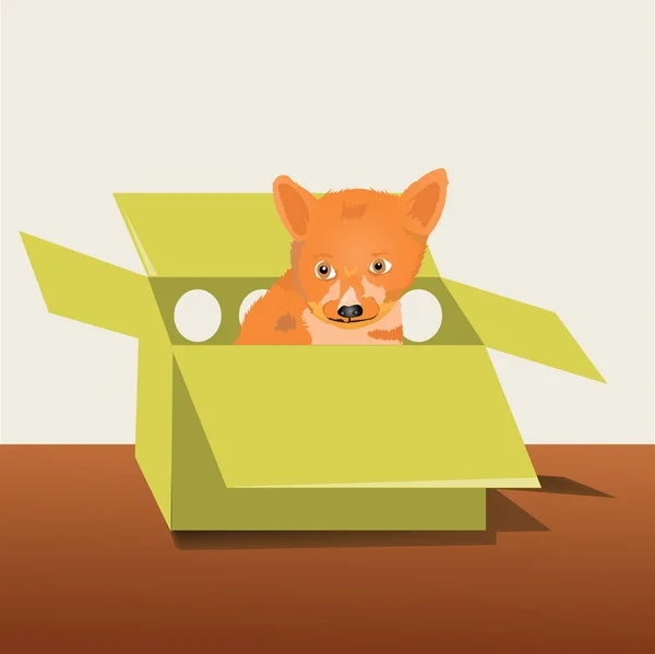 Маленькая лиса в коробке — стоковый вектор