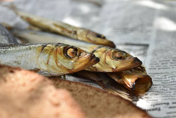 Golden smoked fish and bread on newspaper.