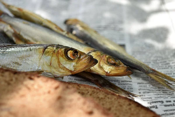 Golden smoked fish and bread on newspaper.