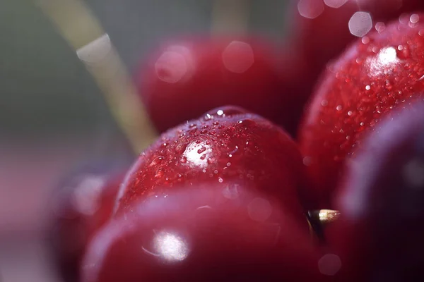 Fondo de cereza roja fresca dulce, imagen macro. Fondo macro de cereza con gotas de agua . — Foto de Stock