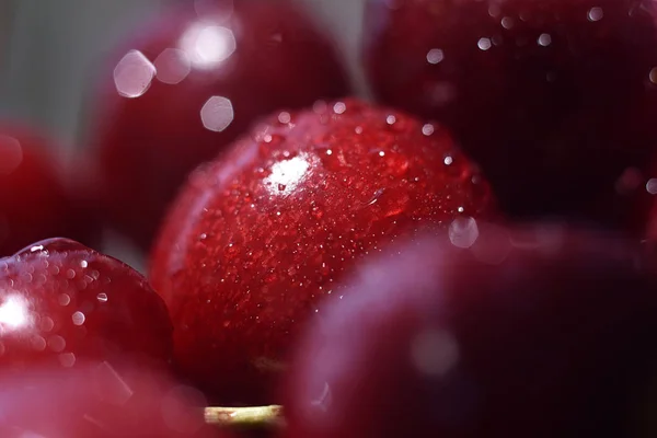 Fondo de cereza roja fresca dulce, imagen macro. Fondo macro de cereza con gotas de agua . — Foto de Stock