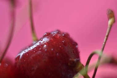 Tatlı taze kırmızı kiraz, makro görüntü arka plan. Su damlaları ile Kiraz makro arka plan.
