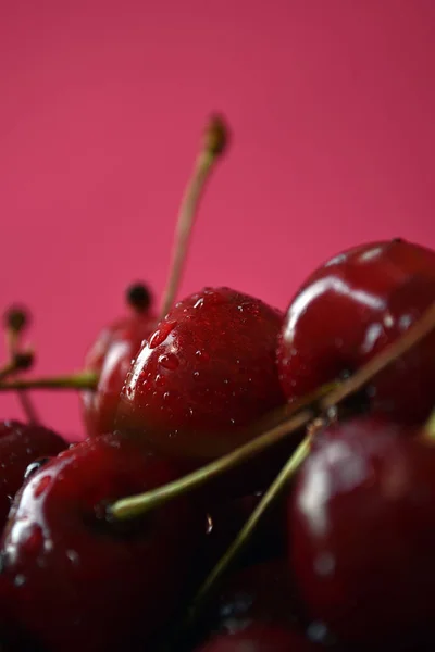 Ciliegie rosse fresche con gocce d'acqua su sfondo rosa . — Foto Stock