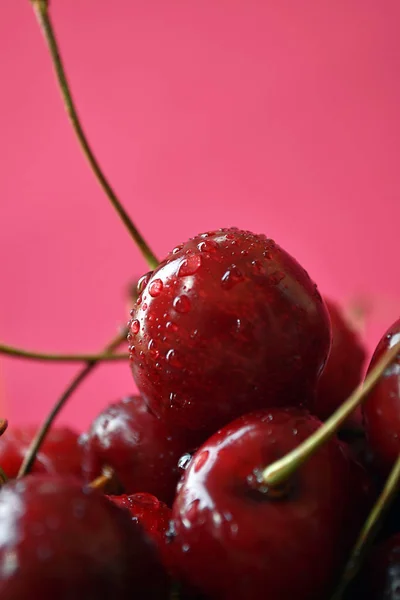 Ciliegie rosse fresche con gocce d'acqua su sfondo rosa . — Foto Stock