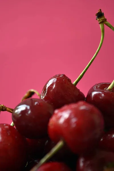 Ciliegie rosse fresche con gocce d'acqua su sfondo rosa . — Foto Stock