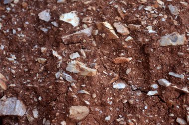 Karışık kumtaşı toprağı ve kaya zemin. Kırmızı kahverengi çakıl dokusu. Kayalık zemin yüzeyi.