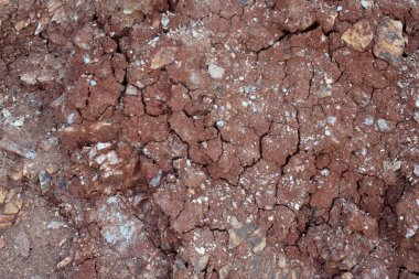 Karışık kumtaşı toprağı ve kaya zemin. Kırmızı kahverengi çakıl dokusu. Kayalık zemin yüzeyi.