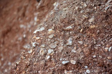 Karışık kumtaşı toprağı ve kaya zemin. Kırmızı kahverengi çakıl dokusu. Kayalık zemin yüzeyi.