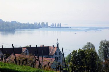  Konstanz Gölü çevresindeki üzüm bağları.