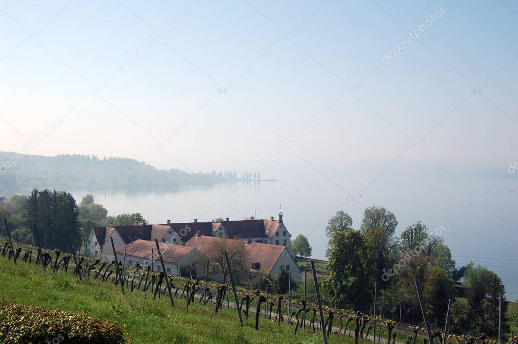  Vineyards around Lake Constance.