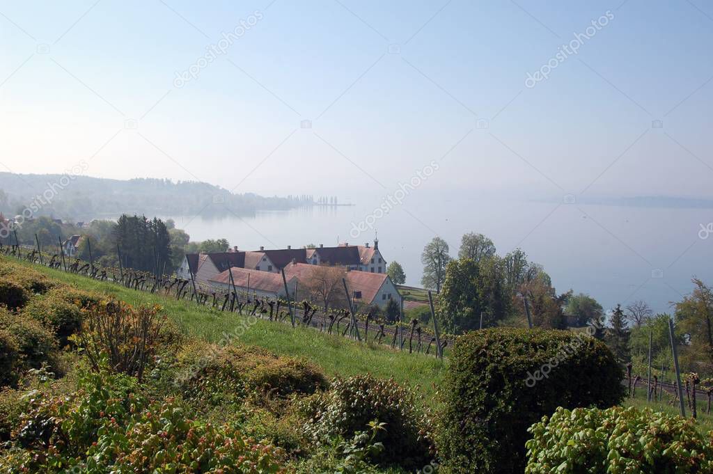  Vineyards around Lake Constance.