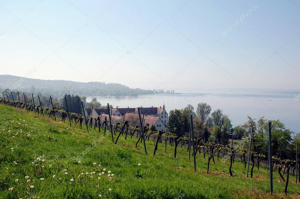  Vineyards around Lake Constance.