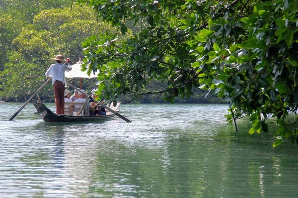 Passeios Barco Manguezais Floresta Tailândia — Fotografia de Stock