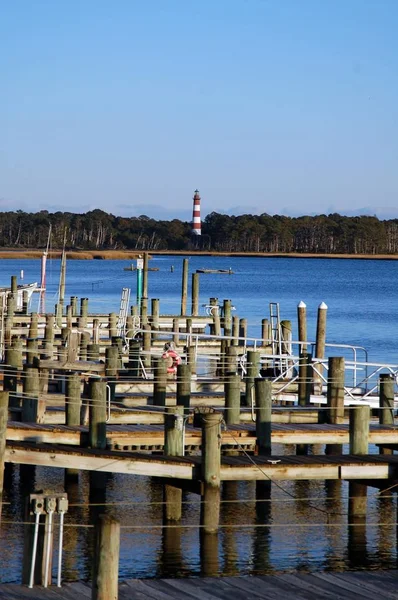 Küste Und Wunderschöne Wilde Natur Der Insel Asateague — Stockfoto