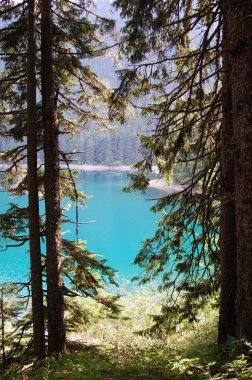 Karadağ Durmitor Milli Parkı buzul Siyah Göl ve dağların Manzara.