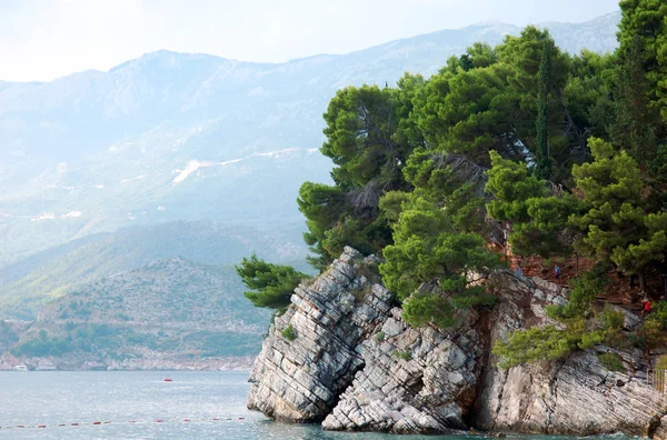 Dünyanın en büyük çiçek bahçeleri, Keukenhof, Hollanda bahar sezonunda çiçeklenme lale yakın çekim. 